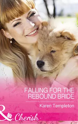 Falling For The Rebound Bride, Karen Templeton