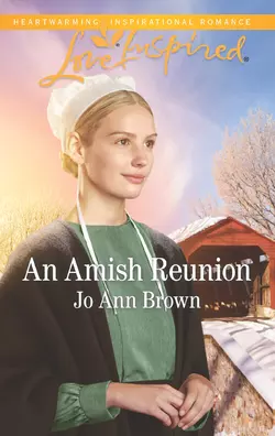 An Amish Reunion, Jo Brown