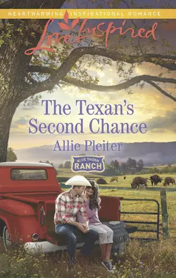 The Texan′s Second Chance Allie Pleiter