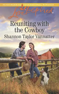 Reuniting With The Cowboy, Shannon Vannatter