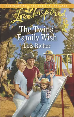 The Twins′ Family Wish, Lois Richer