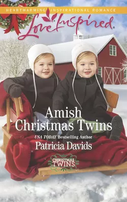 Amish Christmas Twins Patricia Davids