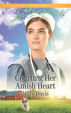 Courting Her Amish Heart, Mary Davis