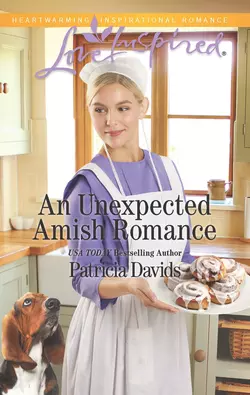 An Unexpected Amish Romance Patricia Davids