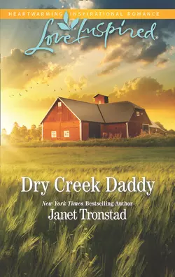 Dry Creek Daddy Janet Tronstad