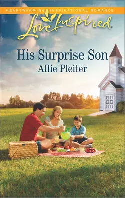 His Surprise Son Allie Pleiter