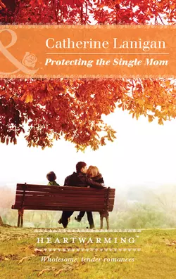 Protecting The Single Mom Catherine Lanigan