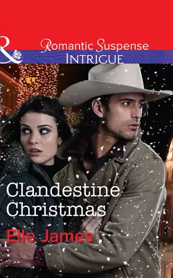 Clandestine Christmas, Elle James