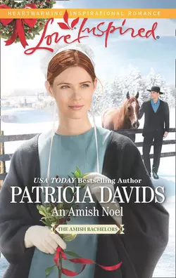 An Amish Noel Patricia Davids