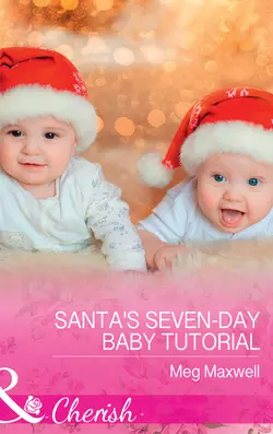 Santa′s Seven-Day Baby Tutorial, Meg Maxwell