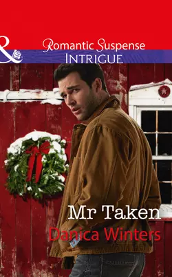 Mr Taken Danica Winters