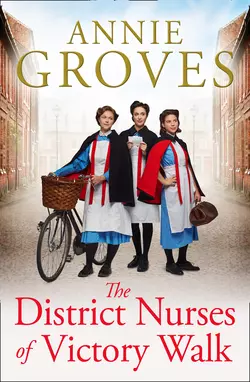 The District Nurses of Victory Walk Annie Groves