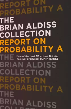 Report on Probability A Brian Aldiss