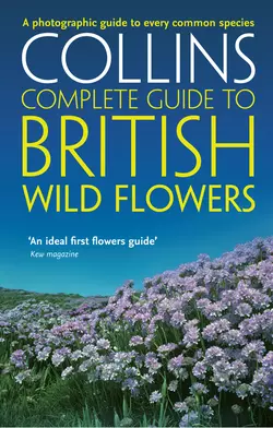 British Wild Flowers: A photographic guide to every common species, Paul Sterry