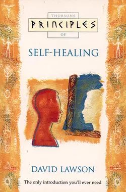 Self-Healing: The only introduction you’ll ever need, David Lawson