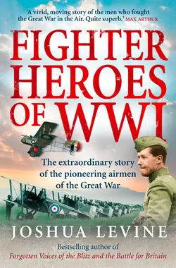 Fighter Heroes of WWI: The untold story of the brave and daring pioneer airmen of the Great War, Joshua Levine