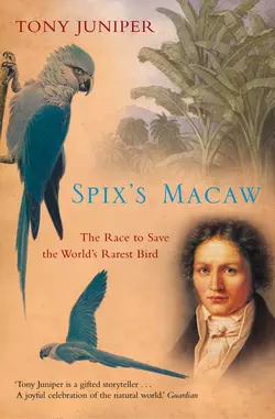 Spix’s Macaw: The Race to Save the World’s Rarest Bird, Tony Juniper