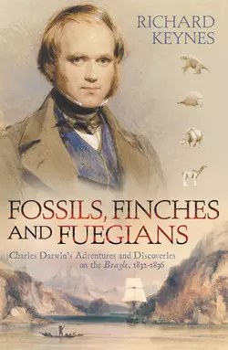 Fossils, Finches and Fuegians: Charles Darwin’s Adventures and Discoveries on the Beagle, Richard Keynes