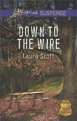 Down to the Wire, Laura Scott