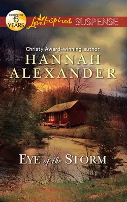 Eye of the Storm, Hannah Alexander