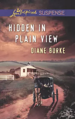 Hidden in Plain View Diane Burke