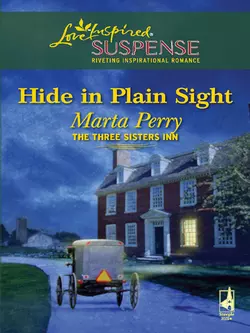 Hide in Plain Sight Marta Perry