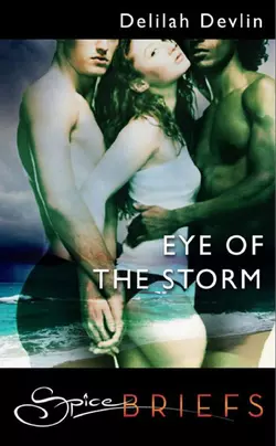 Eye Of The Storm, Delilah Devlin