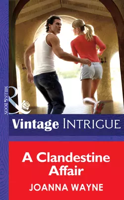 A Clandestine Affair Joanna Wayne