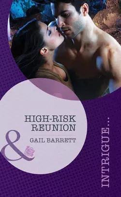 High-Risk Reunion Gail Barrett