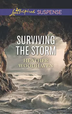 Surviving The Storm, Heather Woodhaven