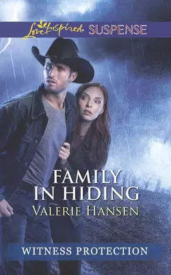 Family in Hiding Valerie Hansen