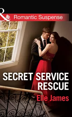 Secret Service Rescue, Elle James