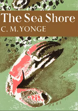 The Sea Shore, C. Yonge