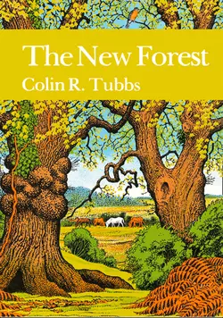 The New Forest, Colin Tubbs