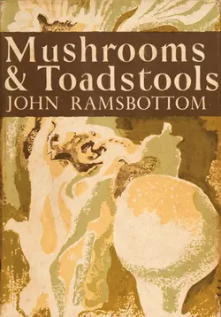 Mushrooms and Toadstools, John Ramsbottom