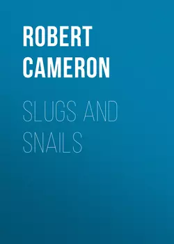 Slugs and Snails, Robert Cameron