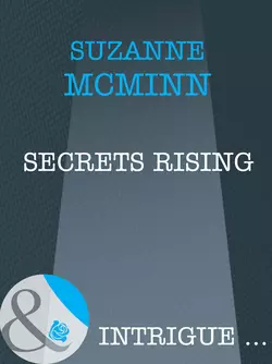 Secrets Rising Suzanne McMinn