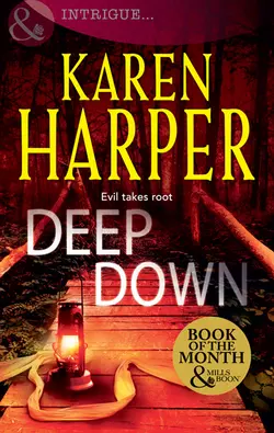 Deep Down, Karen Harper