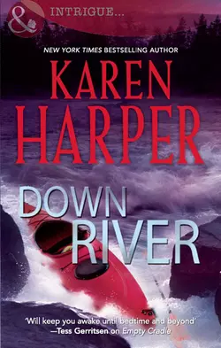 Down River Karen Harper