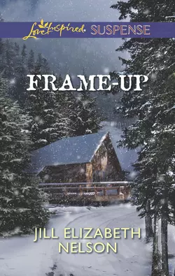 Frame-Up, Jill Nelson