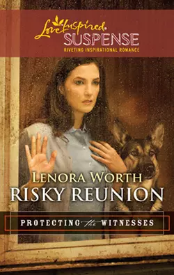 Risky Reunion Lenora Worth