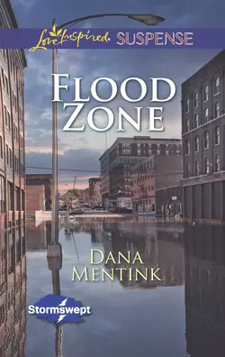 Flood Zone, Dana Mentink