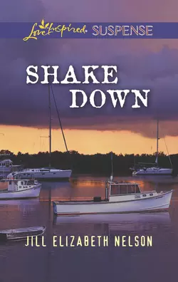 Shake Down, Jill Nelson