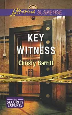 Key Witness, Christy Barritt