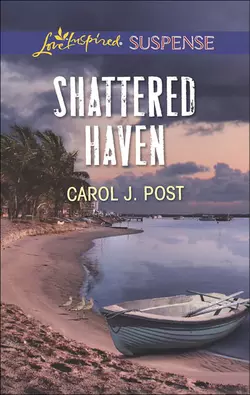 Shattered Haven, Carol Post