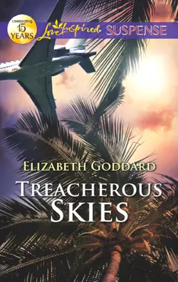 Treacherous Skies, Elizabeth Goddard