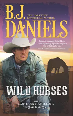 Wild Horses B.J. Daniels