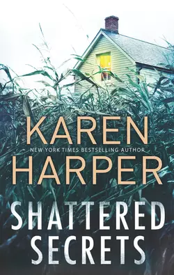 Shattered Secrets Karen Harper