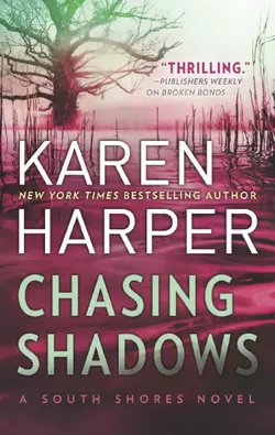 Chasing Shadows Karen Harper