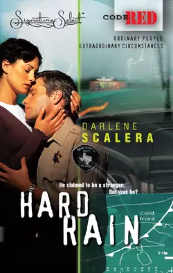 Hard Rain Darlene Scalera